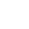 Autruche africaine Souratrae