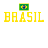Drapeau du Brésil