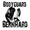 St. Bernard,dog head,dog owner,dogs