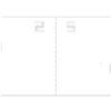 Pong