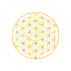 Blume des Lebens