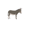 Junggesellen Abschied. Genug geritten...
