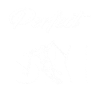 ski