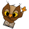 Bucheule Büche Owl