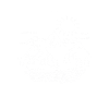 ski