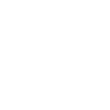 Aardvark gift