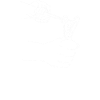 Teilchenbeschleuniger Steinschleuder
