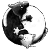 "Black and White" - Yin Yang - Cats