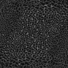 BLACK LEOPARD ANIMALPRINT