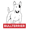 bull terrier