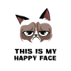 Grumpy Cat Happy