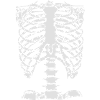 Bone Chest