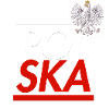 Polska Design