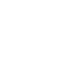 Needle
