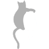 Cats love