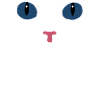 SCHWARZE KATZE