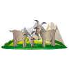 mountain goats
