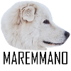 MAREMMANO ABRUZZESE