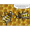 bienen_092012_d