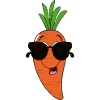 Mr Carrot