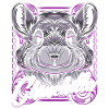 chinchilla