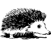 Igel