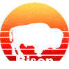 Bison Bison Buffalo Tshirt