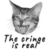 The cringe is real cat