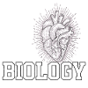 Biologe Lehrer