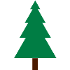 fir