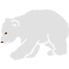 Orso polare Knut Polar