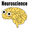 Neuroscience Brain