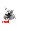Real girls have staffies