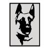 (German Shepherd)
