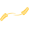 Gluten Freak