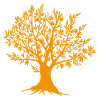 old tree