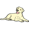 Sweet Labrador