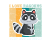 racoon