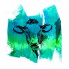 T-shirt bœuf vache