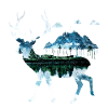 Deer nature