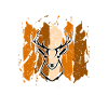Deer deer animal