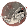 Flying whale