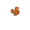 Squirrel Whisperer