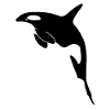 Killer Whale