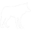 Wolf Pack Wolf Pack Wolf