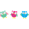 3 owls