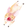 Cochon porcelet cochon
