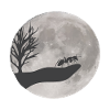 Ant drawing