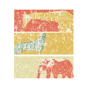safari