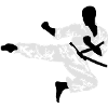 karate_3